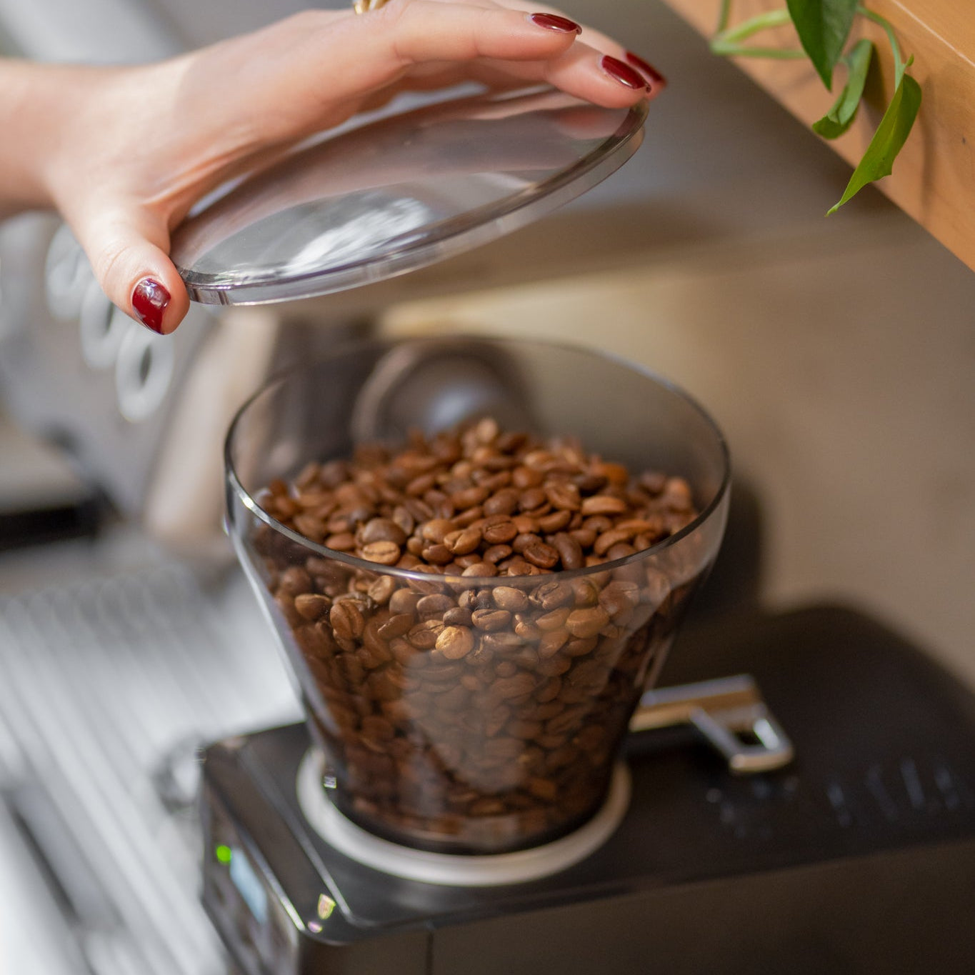 Hand opening a glass container of coffee beans on a coffee grinder.