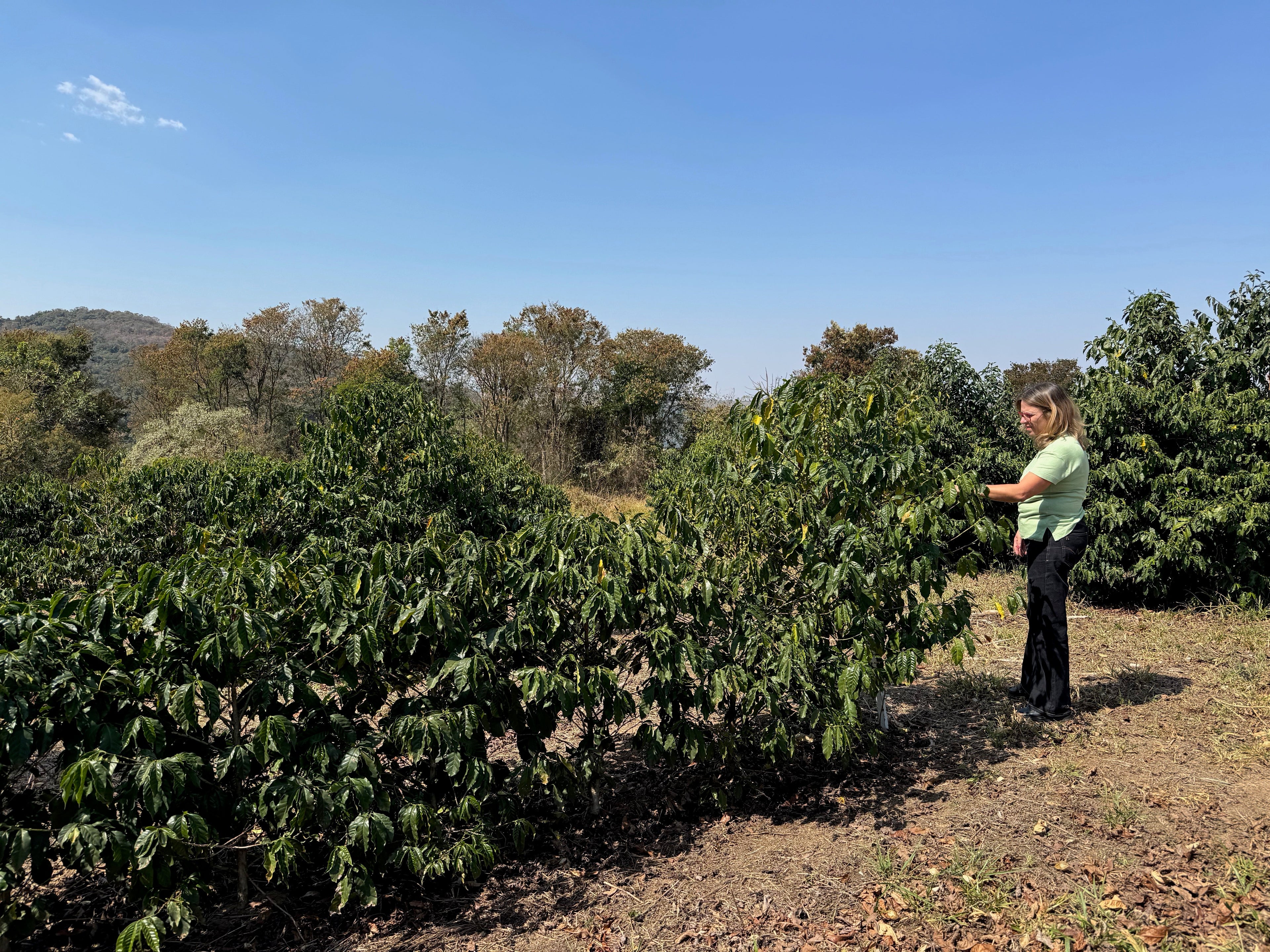 Single Origin Spotlight: Patricia Coelho