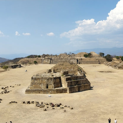 Monte Alban Decaf